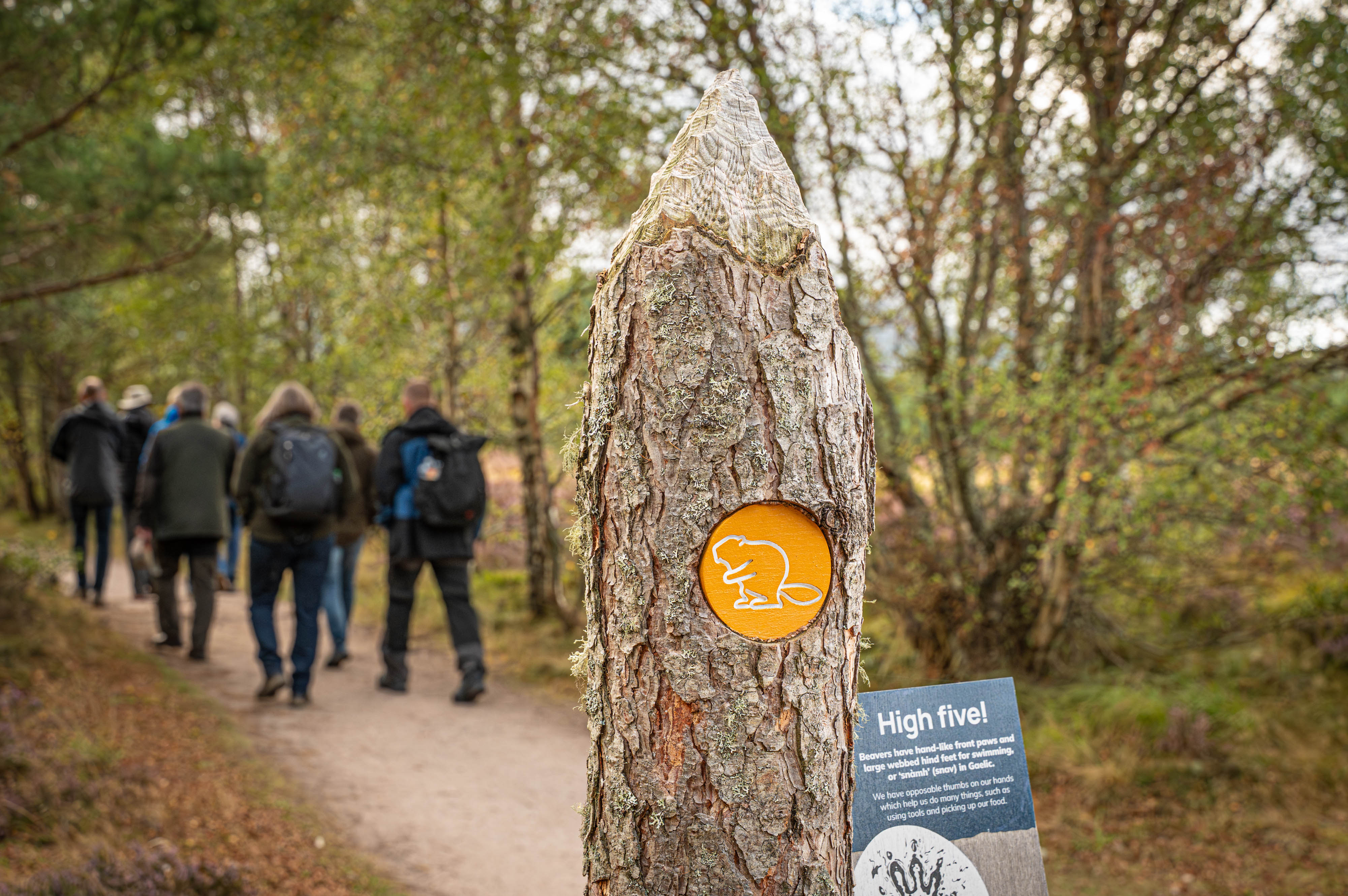 A sign with a beaver symbol in the woods