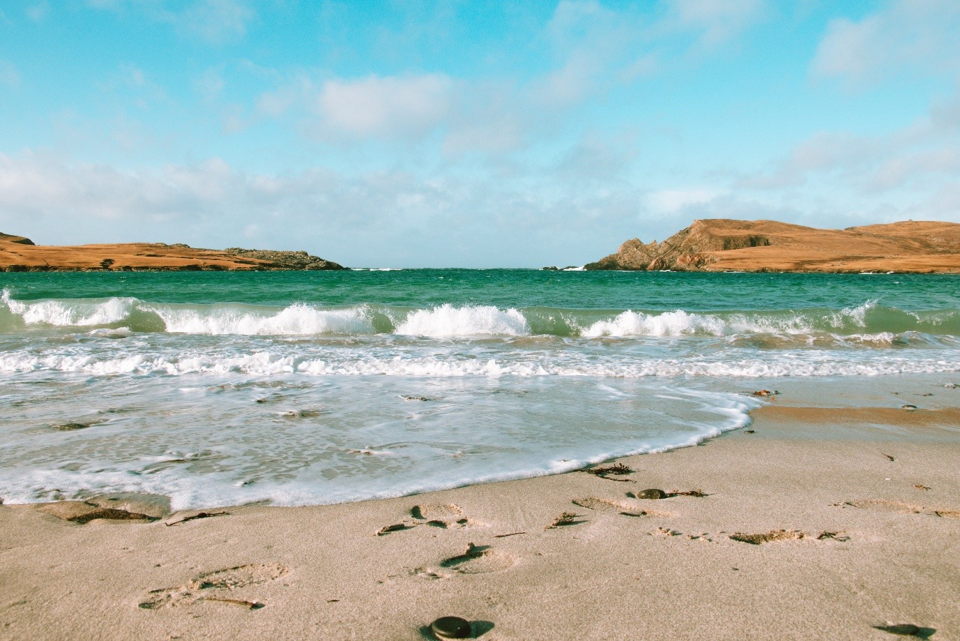 New marine restoration and enhancement guidance launched to support a thriving future for Shetland’s seas.