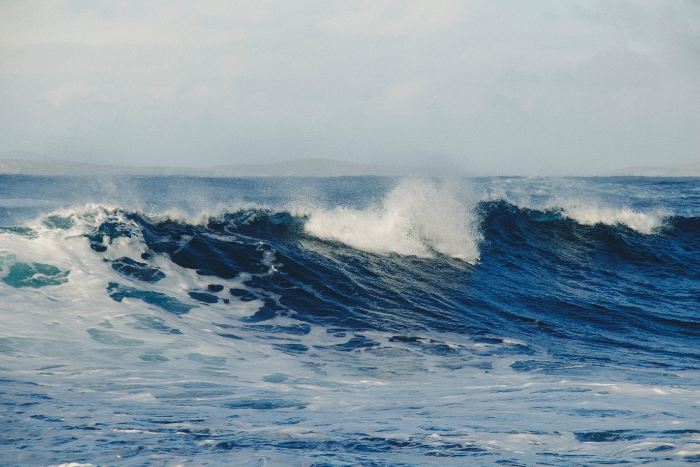 see full size image see full size image