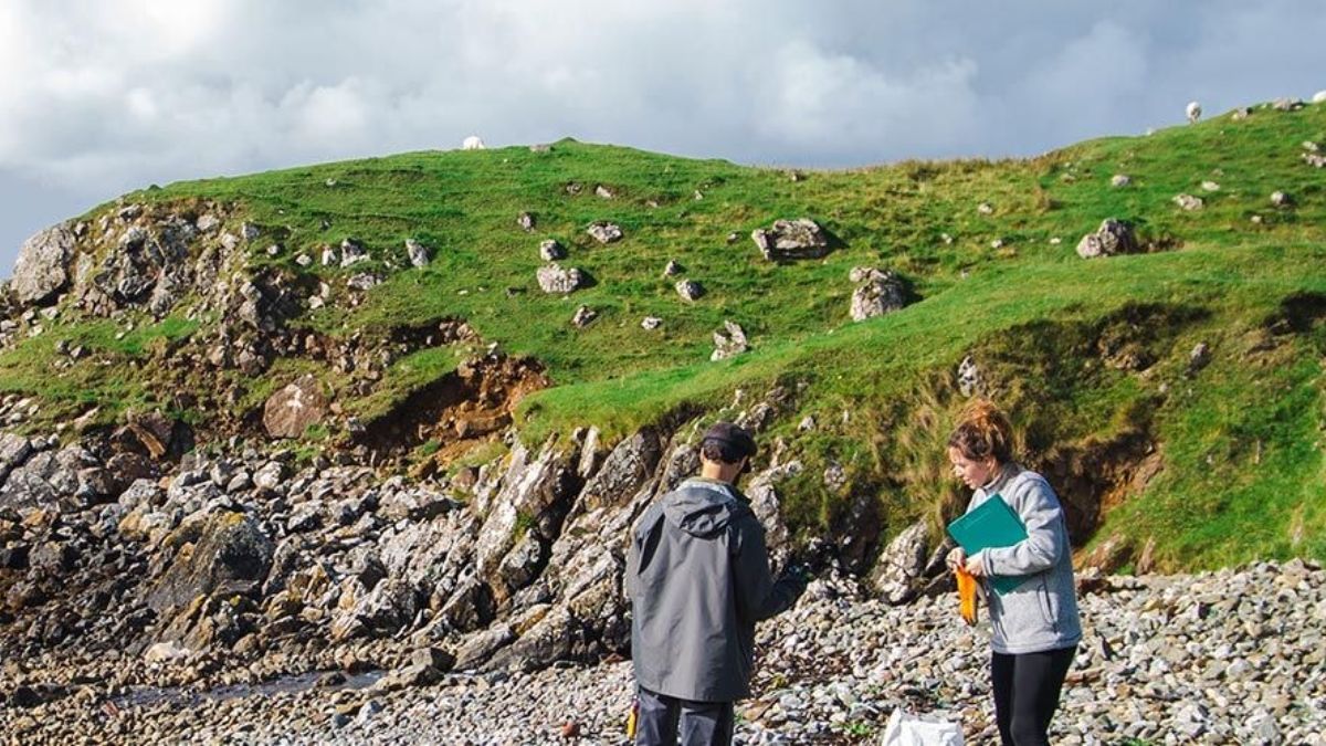 see full size image see full size image