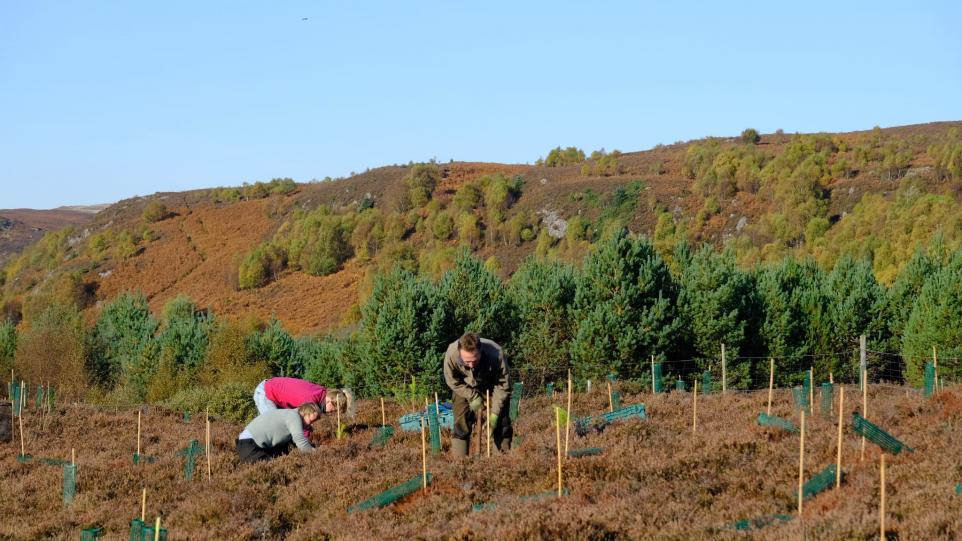 Lack of clear measurement of biodiversity risks undermining the fight for nature 