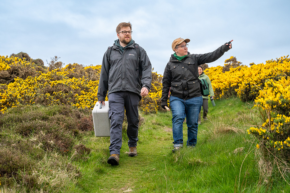 Researchers walking through a gorse field Researchers walking through a gorse field