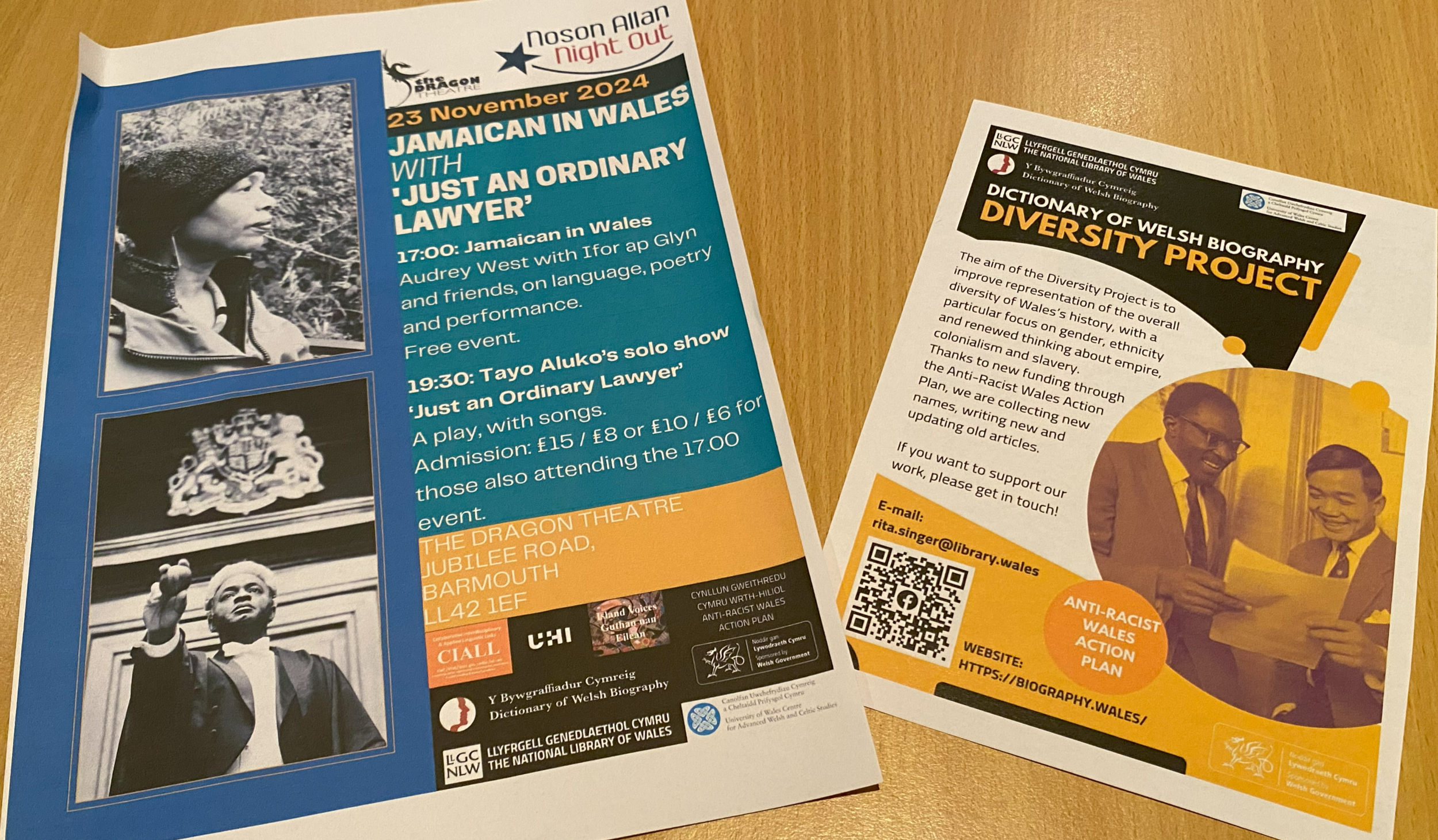 Multilingual Video Launch and Discussion