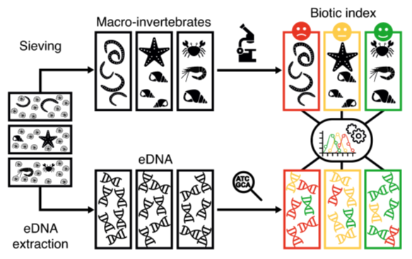 BactMetBar WorkFlow 2 BactMetBar WorkFlow 2
