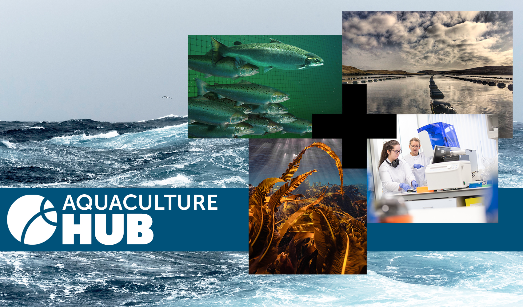 Aquaculture Hub Header Image Aquaculture Hub Header Image