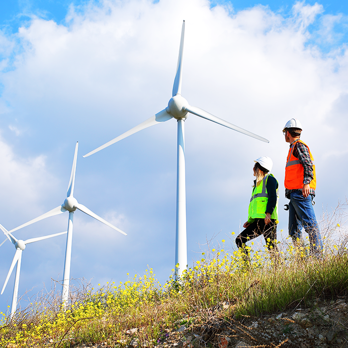 Two people looking at wind turbines Two people looking at wind turbines