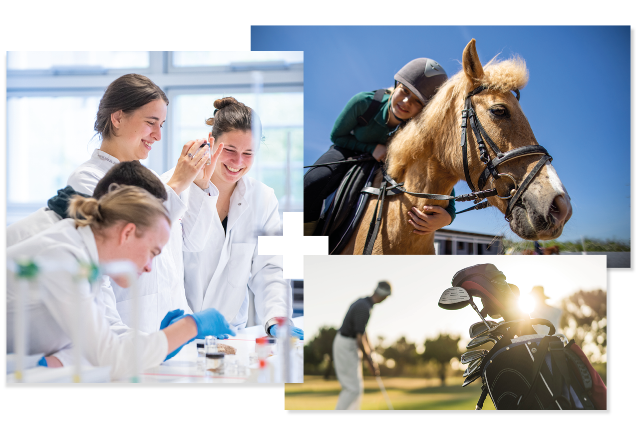 Collage of 3 | Students in a laboratory | Student on a horse | Student playing golf Collage of 3 | Students in a laboratory | Student on a horse | Student playing golf
