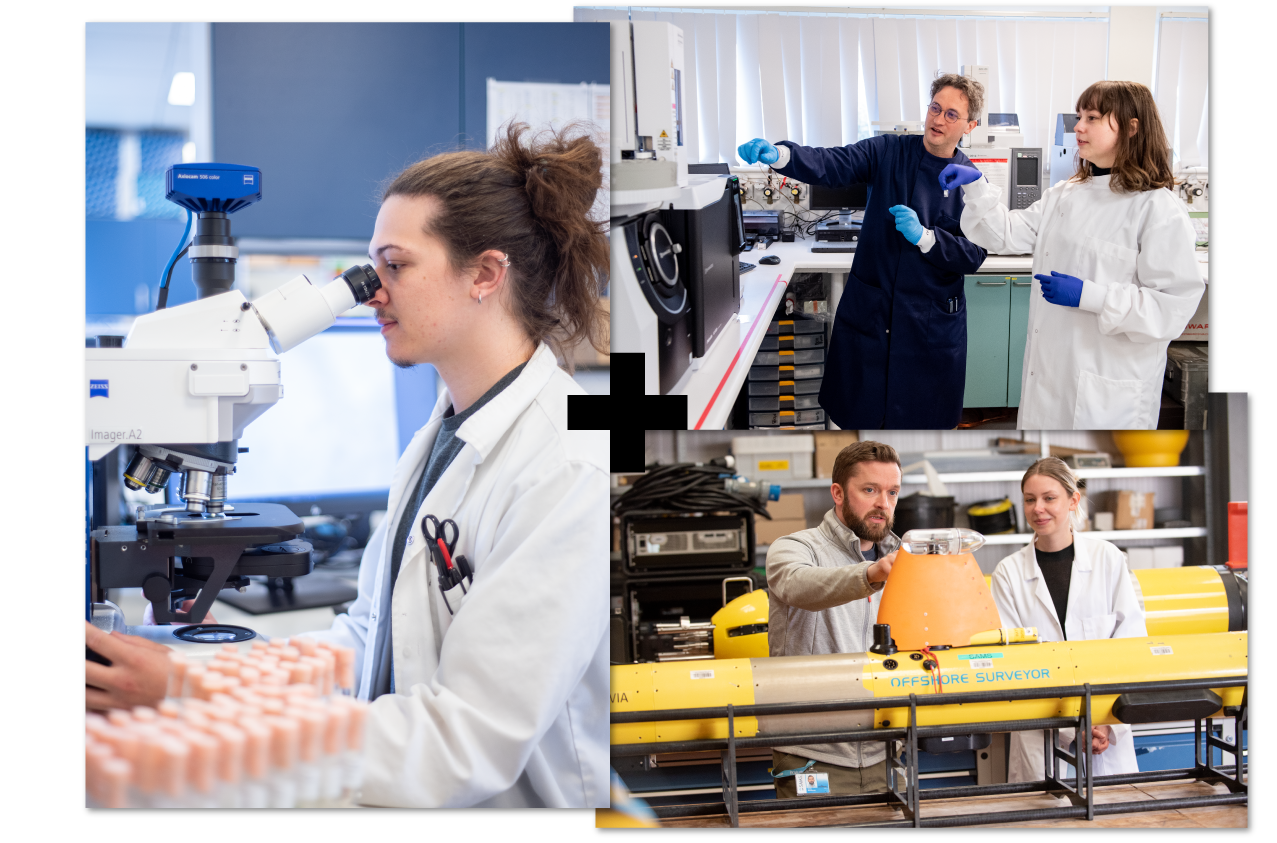 Collage of 3 | UHI SAMS students Collage of 3 | UHI SAMS students