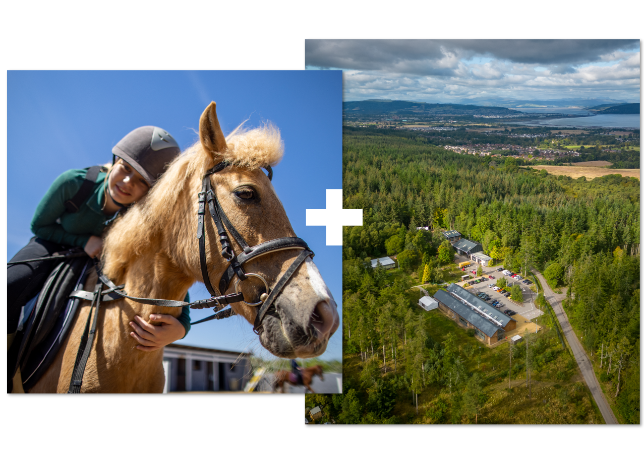 Collage of 2 | Equine studies | Forestry Collage of 2 | Equine studies | Forestry