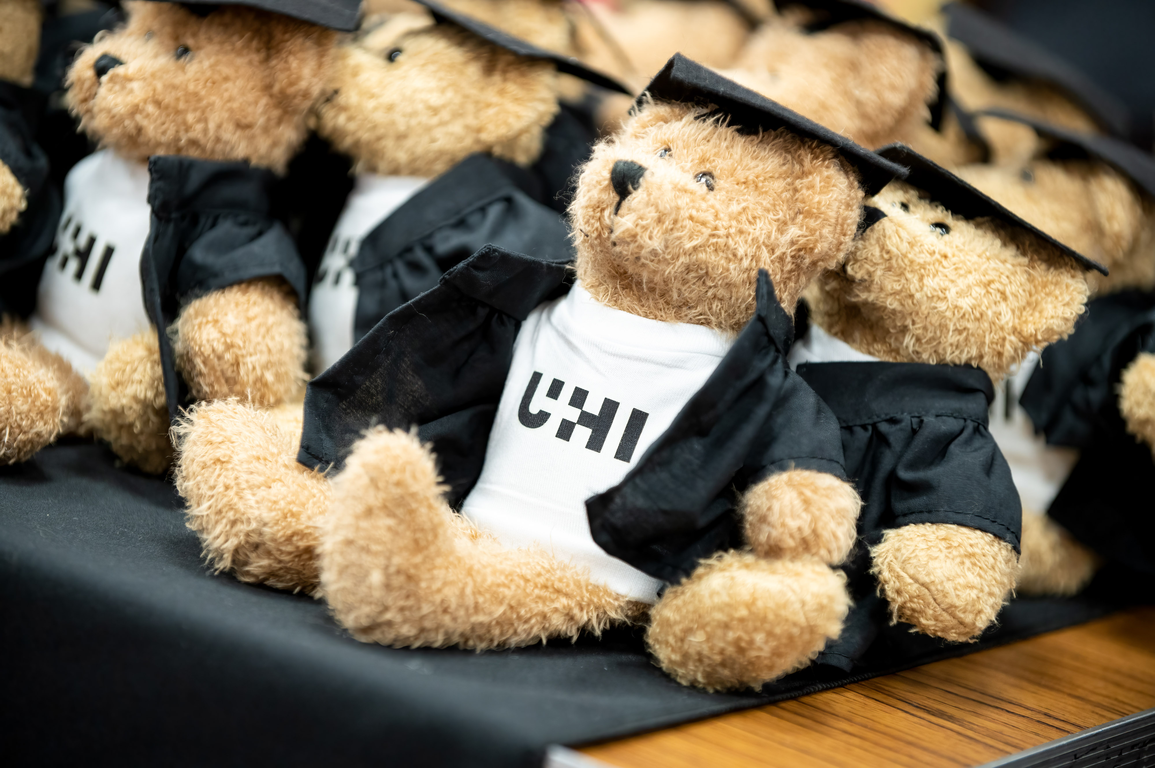 Teddy bear wearing graduation gown and hat with a t-shirt with UHI written on it Teddy bear wearing graduation gown and hat with a t-shirt with UHI written on it